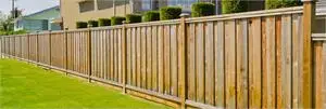 A fence with bushes on the other side is visible.